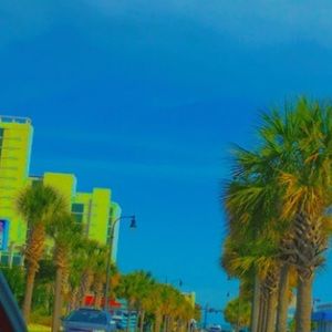 Meet your Posher, Chloe